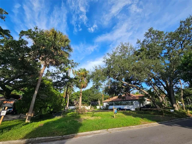 a view of a park with large trees