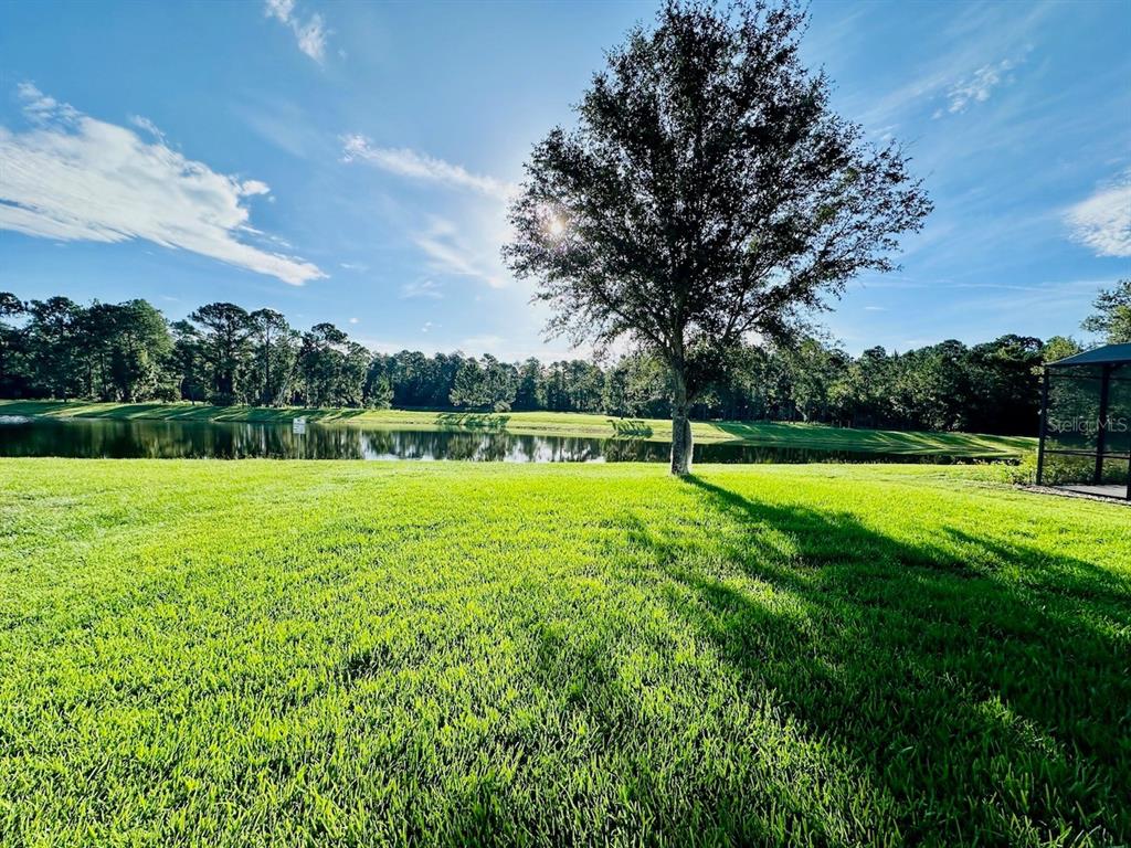 10726 Cabbage Tree Loop Orlando, FL 32825 - Photo 24 of 26