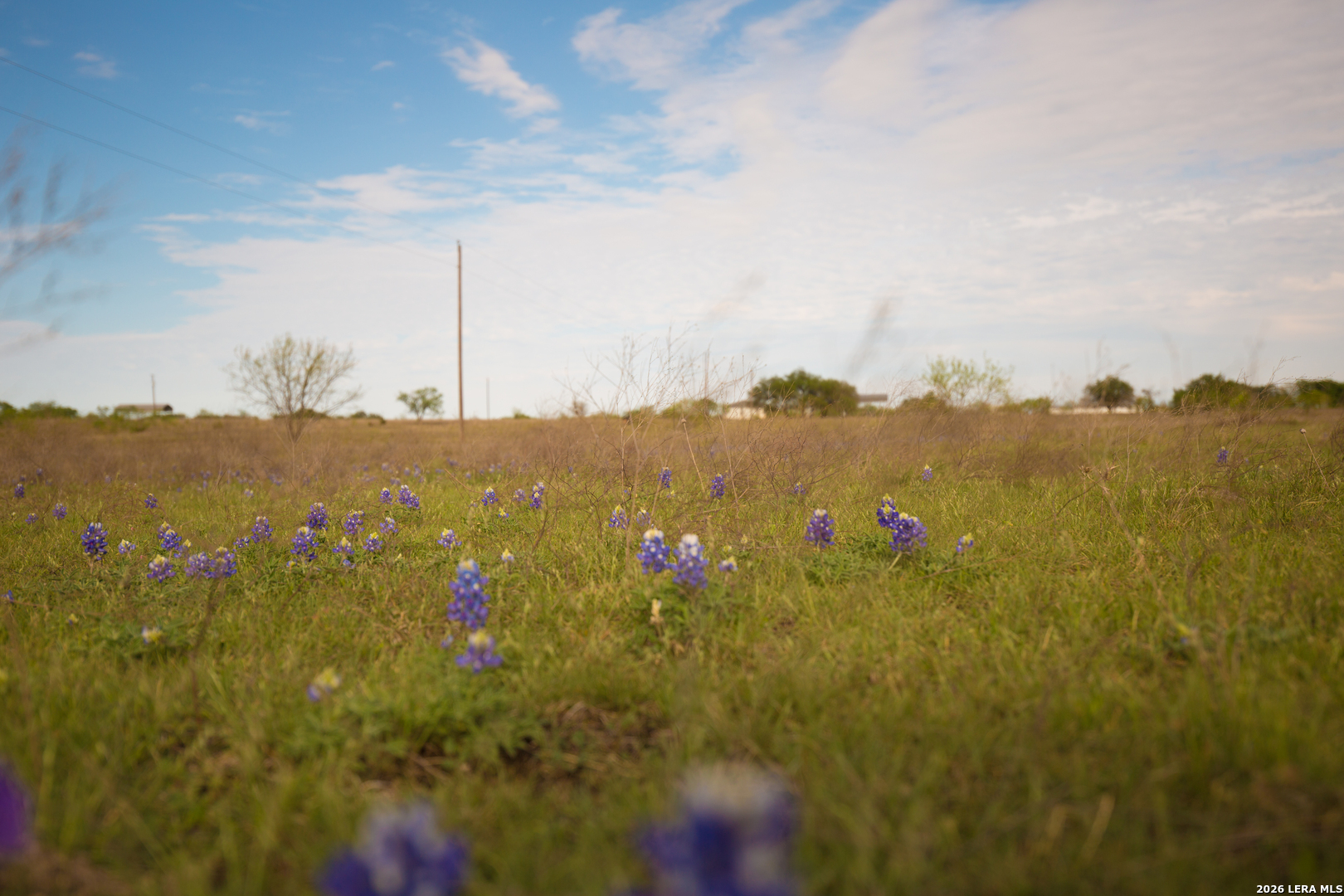 1843 Savanna Ridge Ranch Road Lometa, TX 76853 - Photo 7 of 24 Gallery Image 7