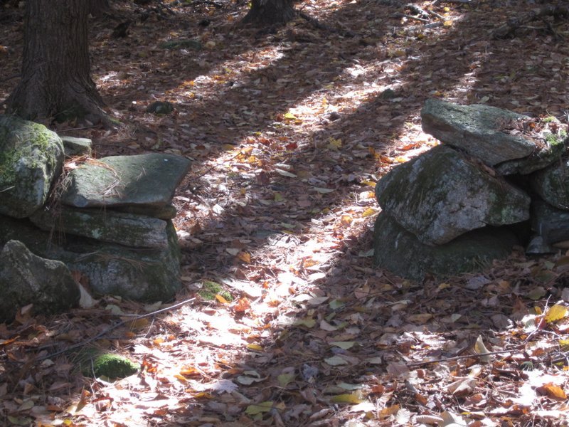 102 South Main Road Otis, MA 01253 - Photo 20 of 25 a backyard of a house