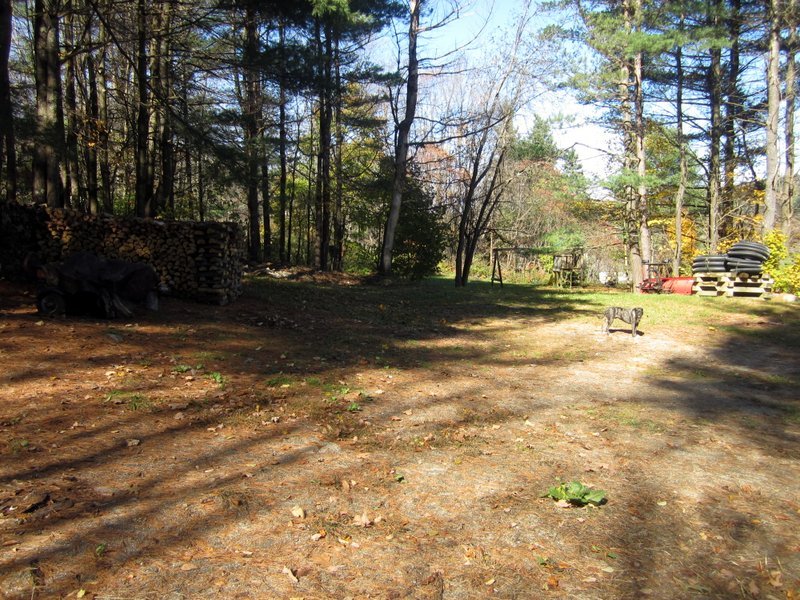 102 South Main Road Otis, MA 01253 - Photo 21 of 25 a view of road with trees