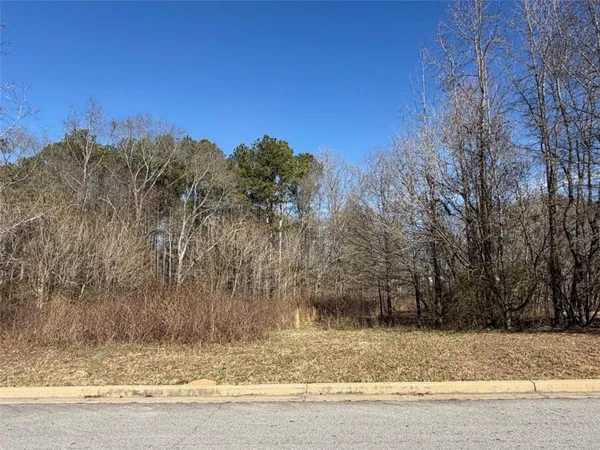 a view of a yard with trees in the background