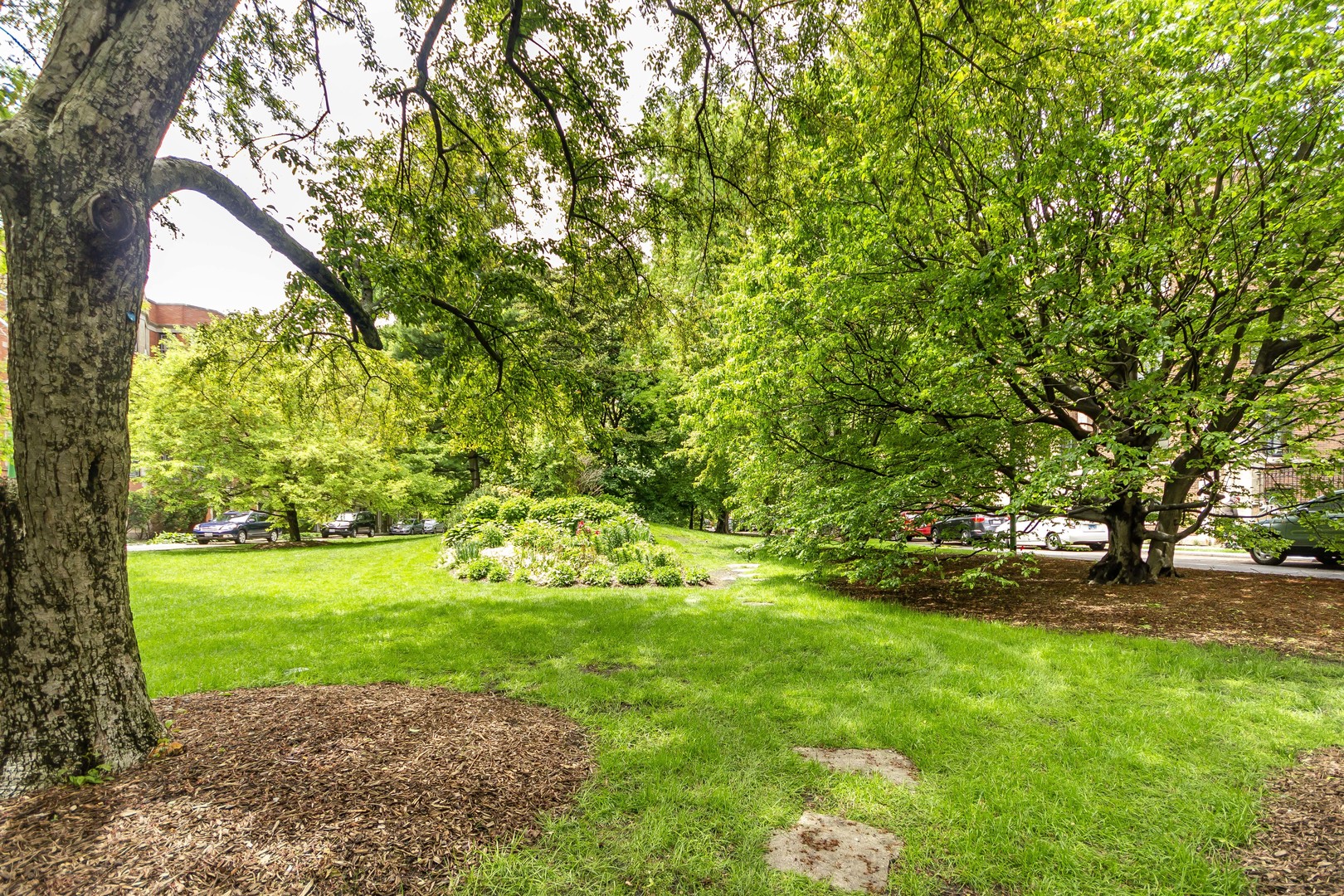 1360 East Madison Park, Unit B Chicago, IL 60615 - Photo 3 of 19 a view of a yard with a tree