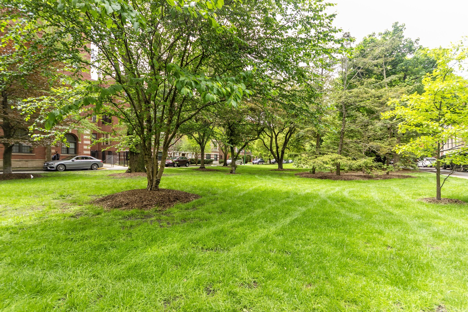 1360 East Madison Park, Unit B Chicago, IL 60615 - Photo 4 of 19 a huge green field with lots of trees