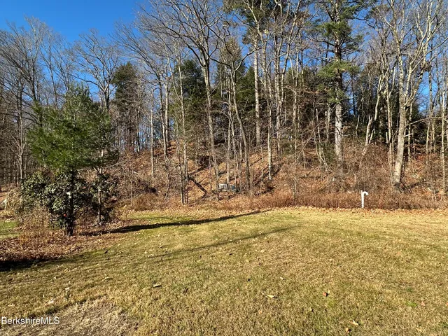 a view of yard with trees