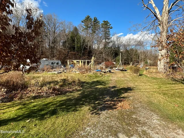 a view of a yard with a tree