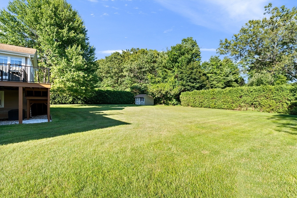 47 Deer Run Road West Springfield, MA 01089 - Photo 41 of 41 a view of a backyard with large trees