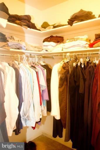 3026 South Glebe Road, Unit 3026 Arlington, VA 22206 - Photo 18 of 29 Walk-in Closet