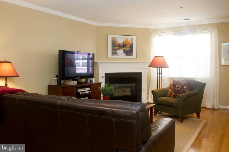 3026 South Glebe Road, Unit 3026 Arlington, VA 22206 - Photo 7 of 29 Living Room