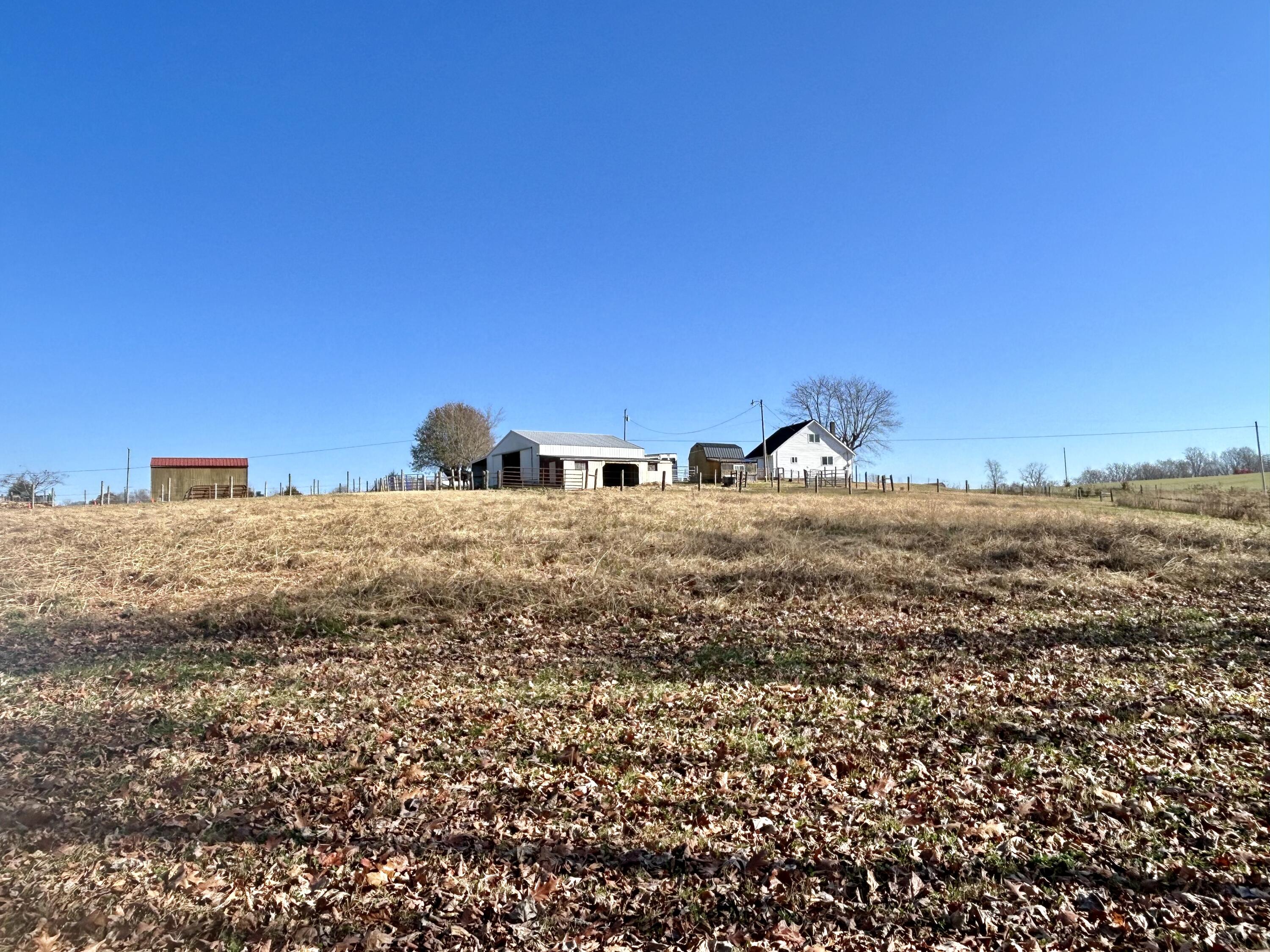 575 Piney Woods Road Nancy, KY 42544 - Photo 8 of 50 612FA030-D194-46DE-A7F4-2E4E27B6877E