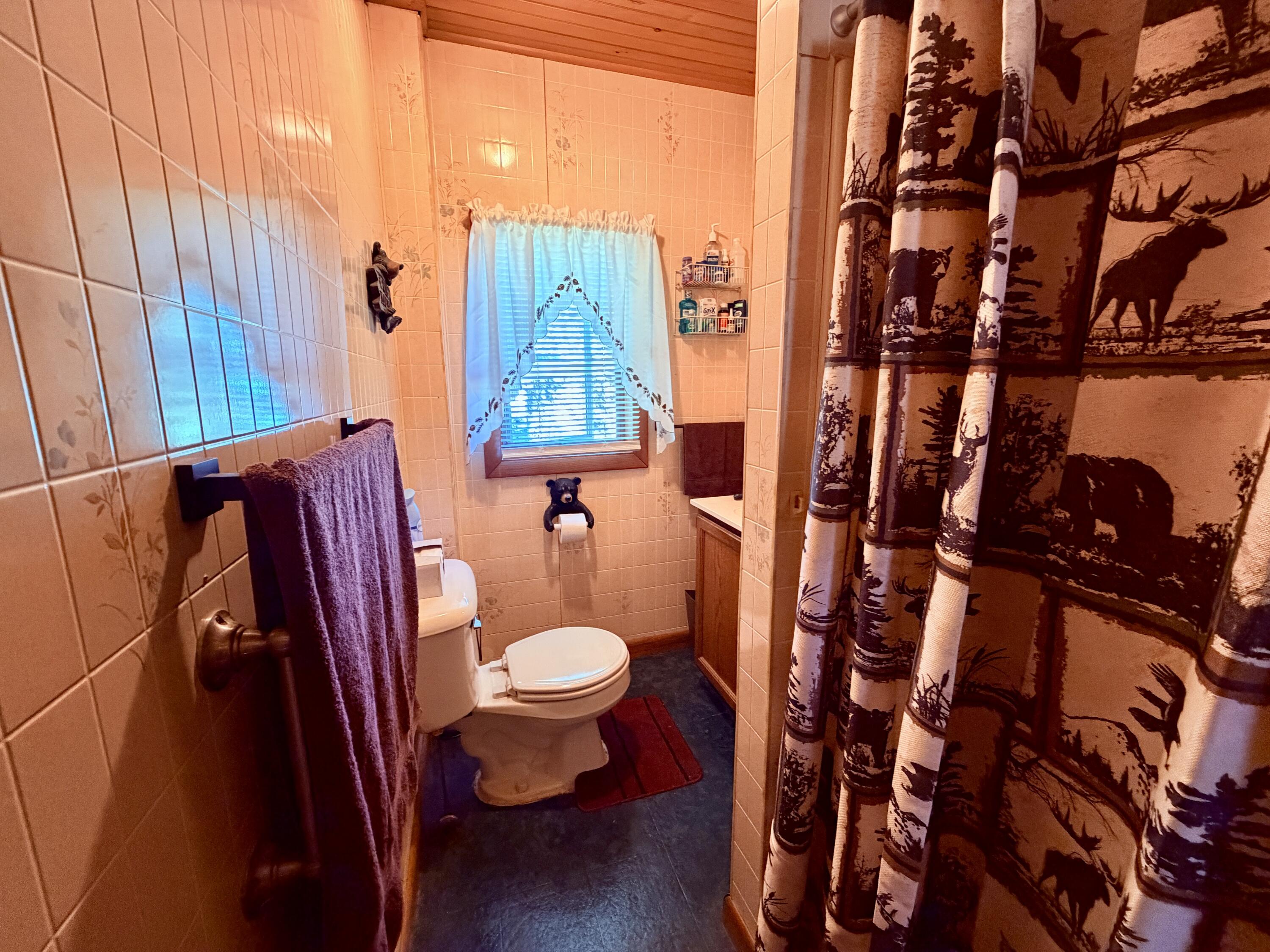 426 Martin Road Sinclair, ME 04779 - Photo 14 of 17 Bathroom