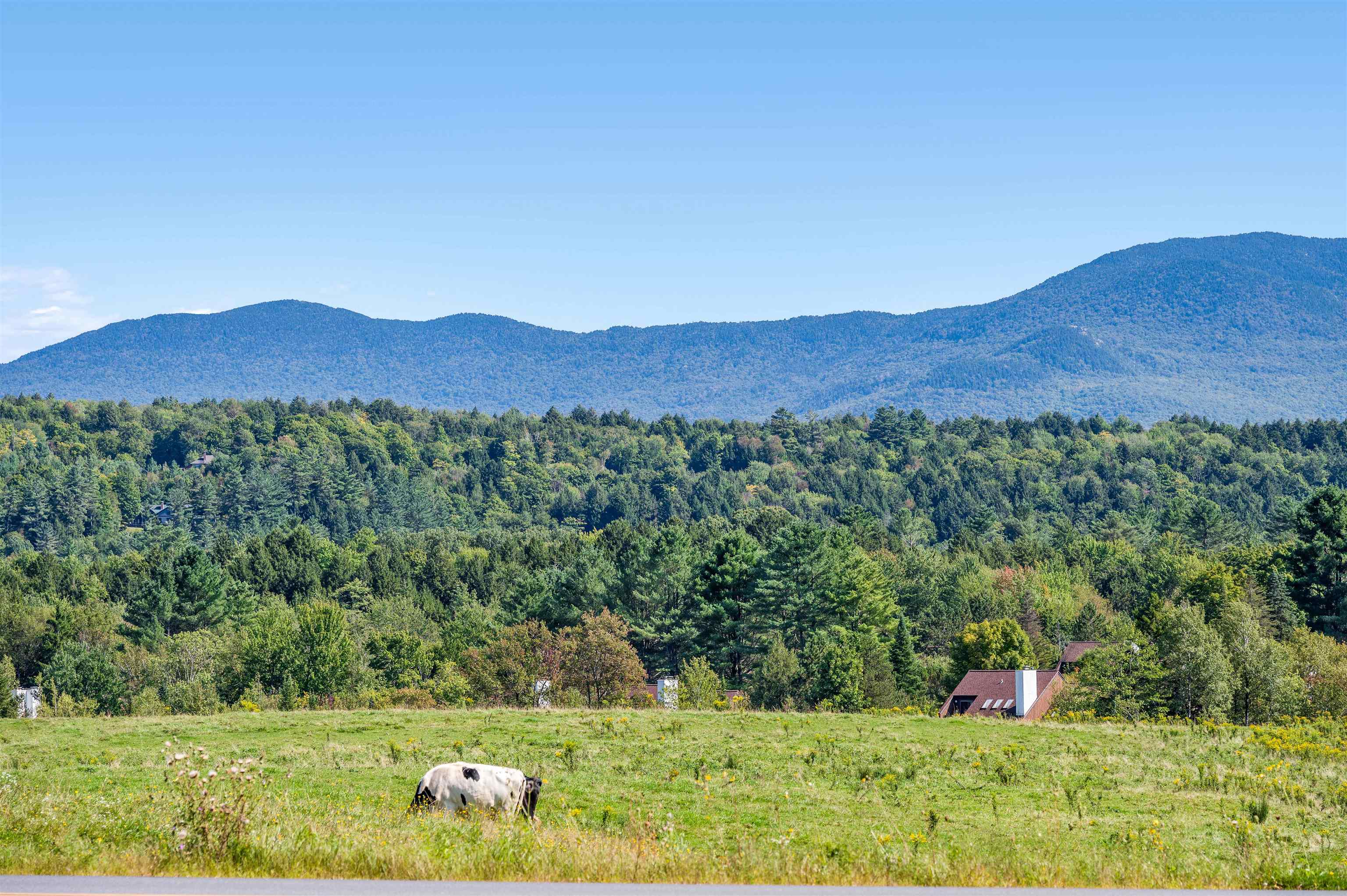 14 Barrows Road Stowe, VT 05672 - Photo 54 of 55