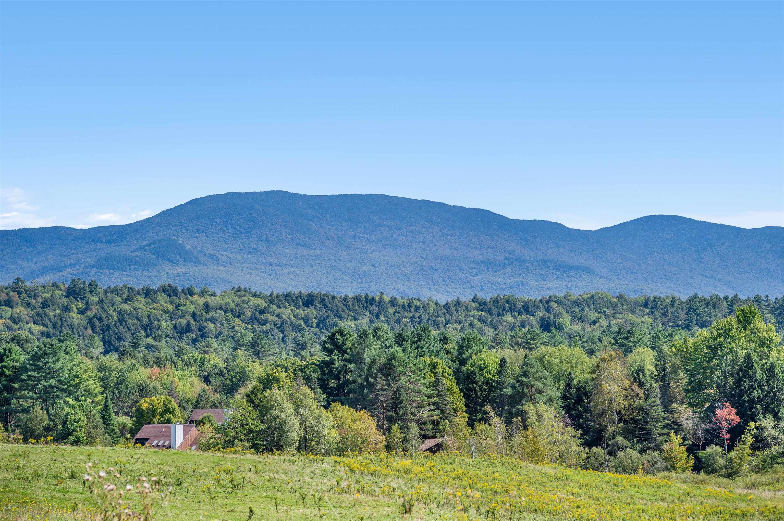 14 Barrows Road Stowe, VT 05672 - Photo 6 of 55