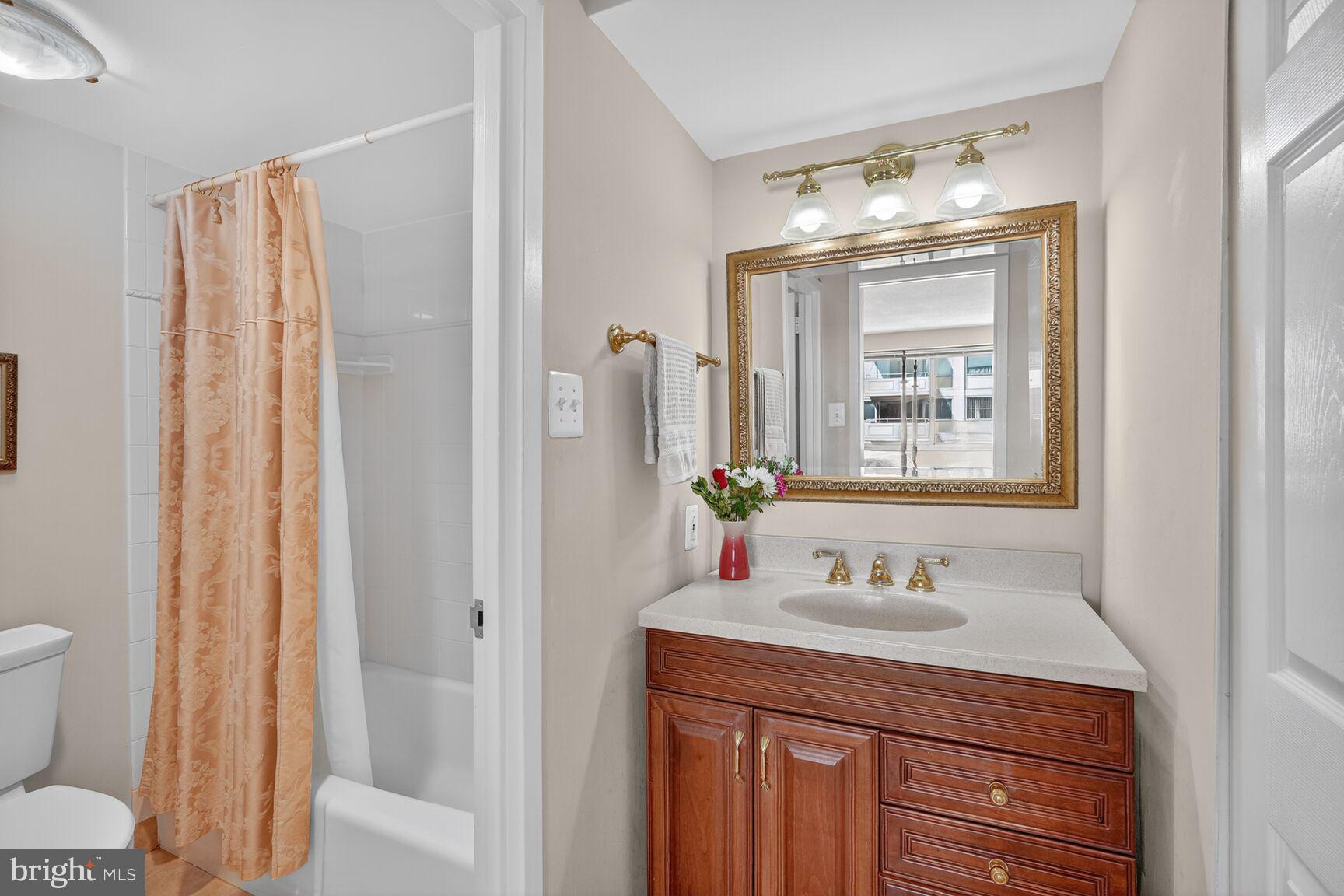 4515 Willard Avenue, Unit 1421S Chevy Chase, MD 20815 - Photo 17 of 53 a bathroom with a sink vanity mirror and toilet