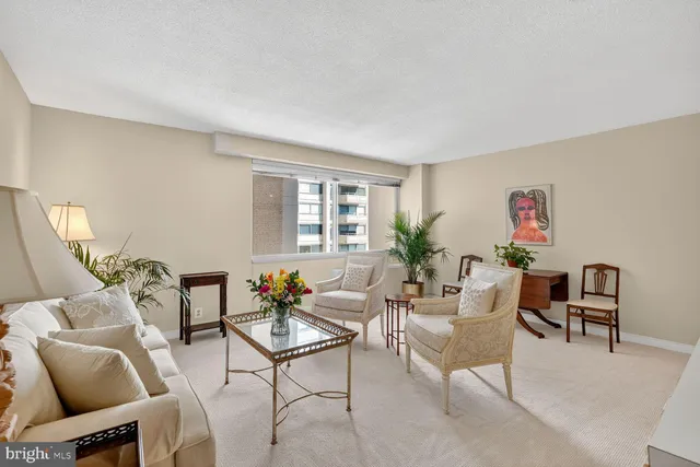 a living room with furniture a potted plant and a table