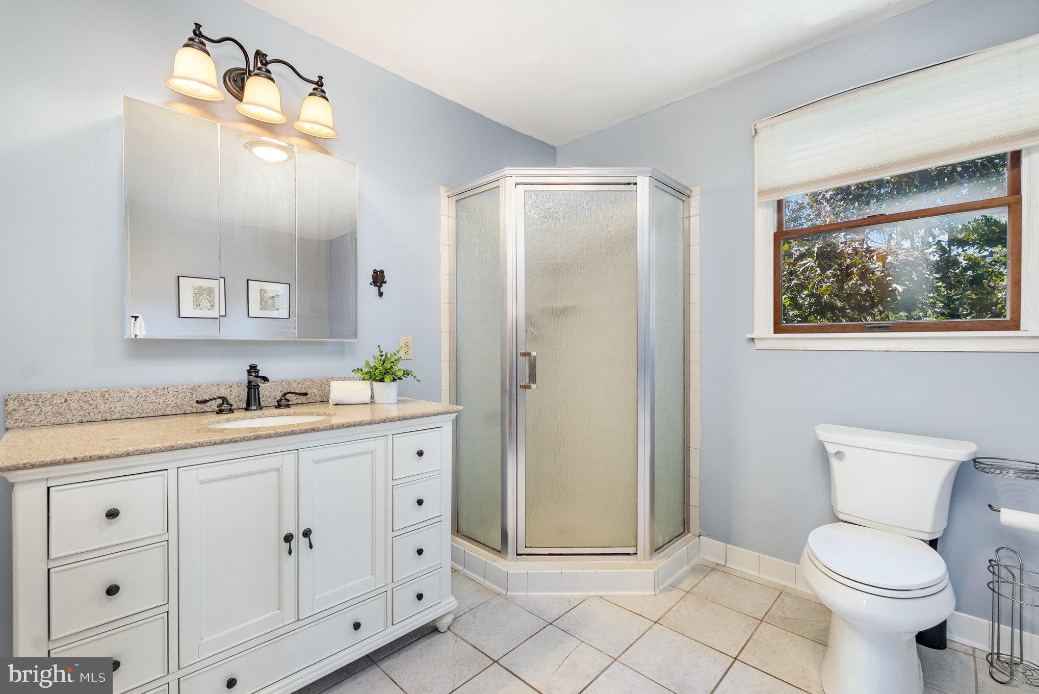 7401 Greenbank Road Baltimore, MD 21220 - Photo 24 of 58 a bathroom with a toilet sink and mirror