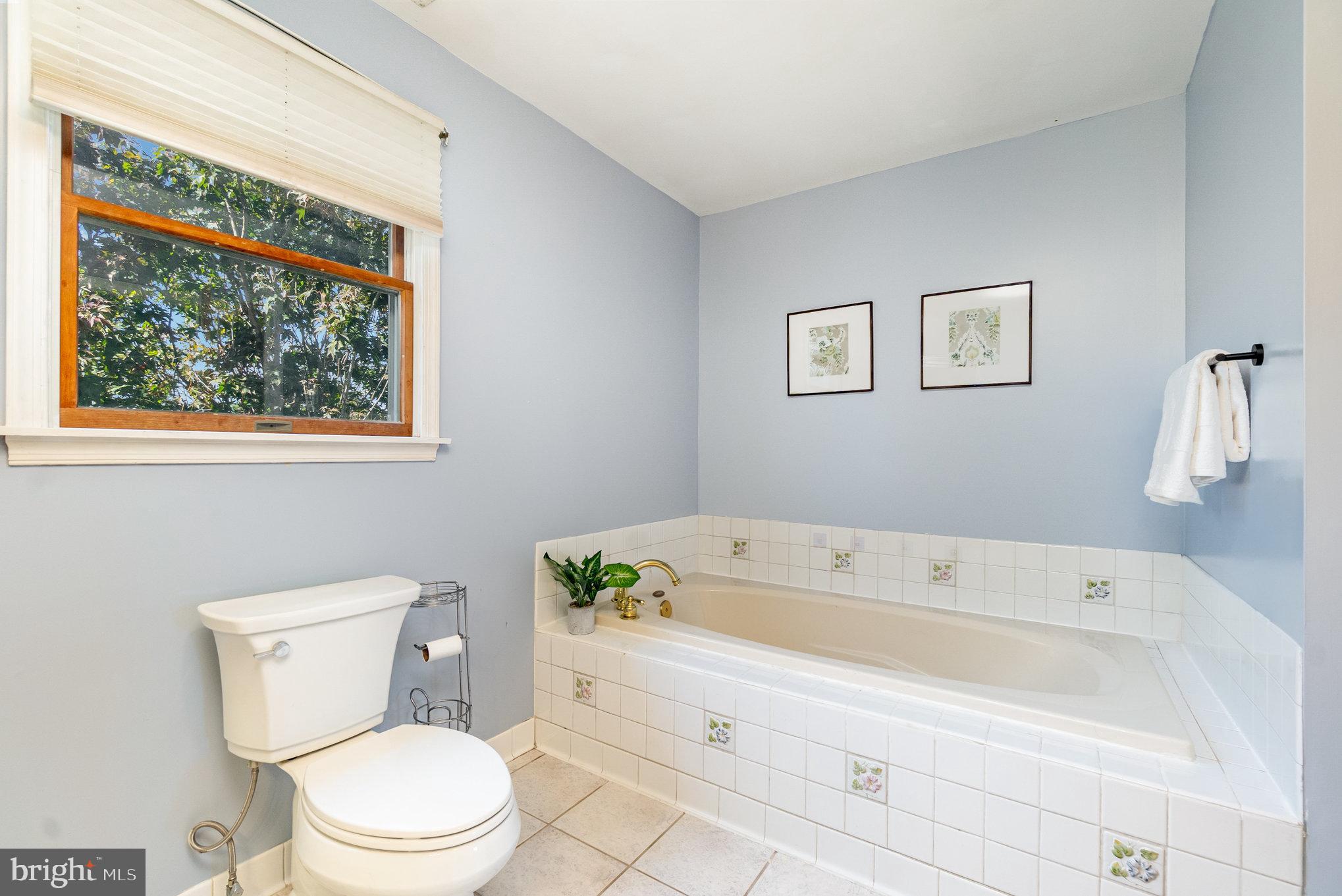 7401 Greenbank Road Baltimore, MD 21220 - Photo 25 of 58 a bathroom with a toilet and a bathtub