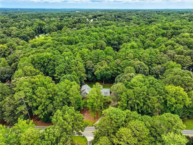 a view of a lush green forest with lots of trees