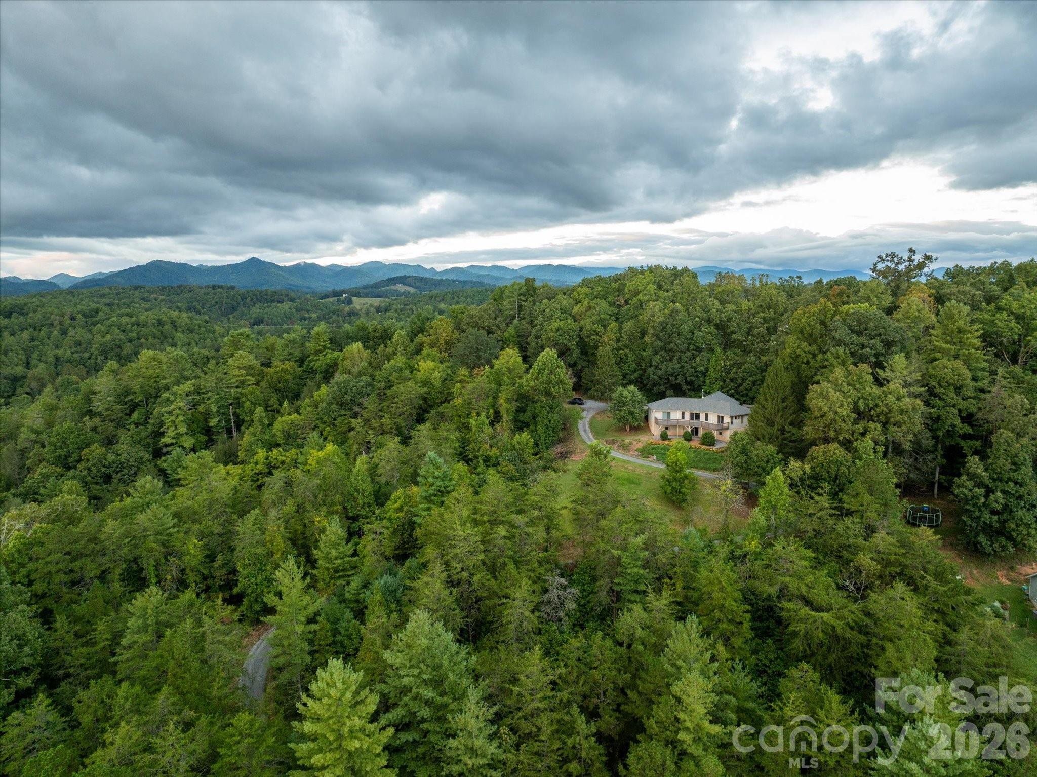 47 Sams Road Weaverville, NC 28787 - Photo 4 of 40 Gallery Image 4
