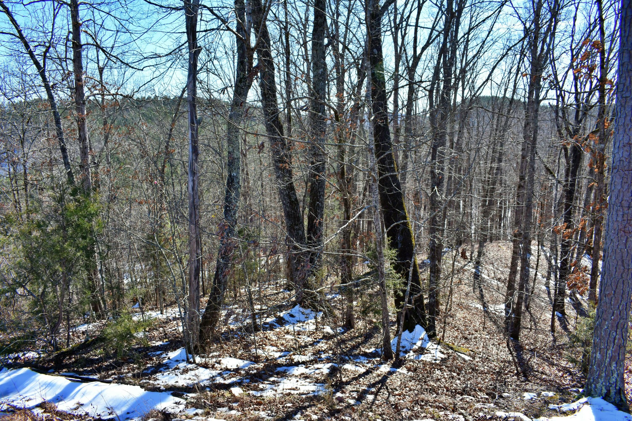 1237 Little Egypt Road Ten Mile, TN 37880 - Photo 8 of 53 Gallery Image 8