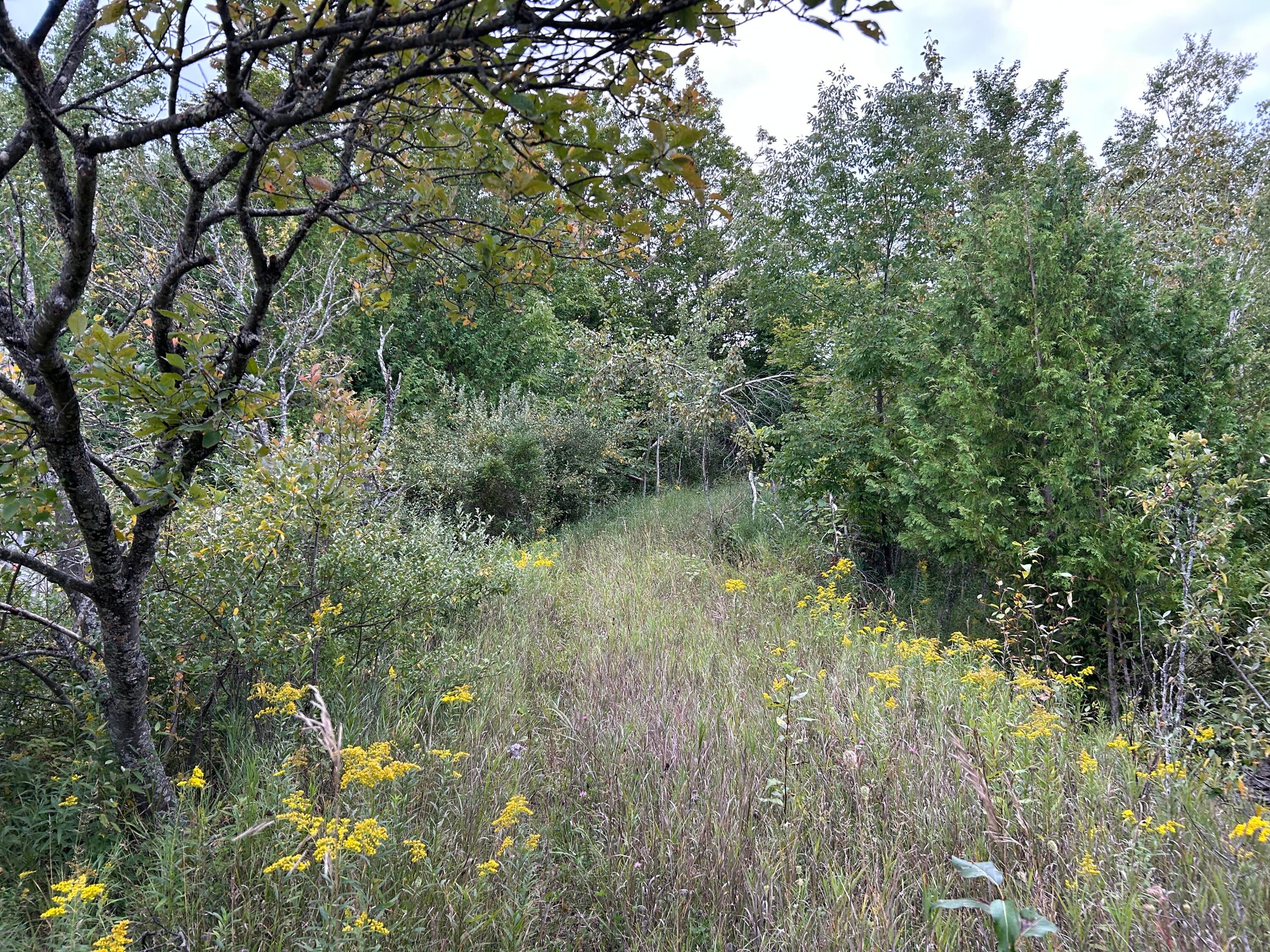 9625 Bolton Road Posen, MI 49776 - Photo 22 of 61