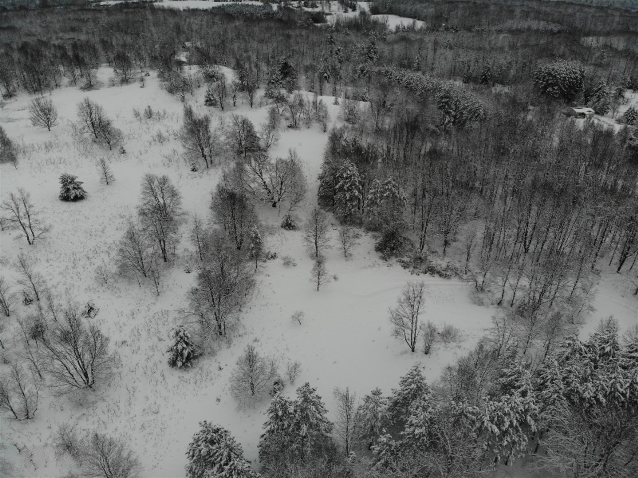 19 19 Mile Road Leroy, MI 49655 - Photo 28 of 30 Gallery Image 28