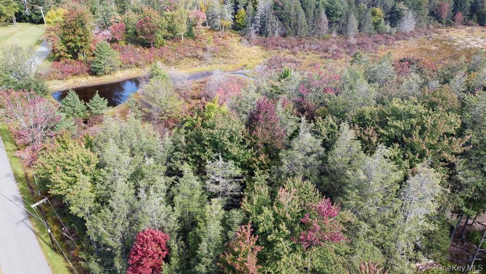Seeman Road Neversink, NY 12765 - Photo 10 of 12 Gallery Image 10