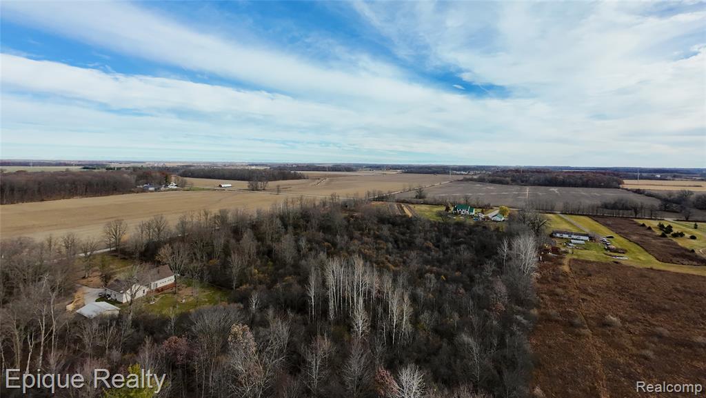 0 Brown Road Smiths Creek, MI 48074 - Photo 4 of 6