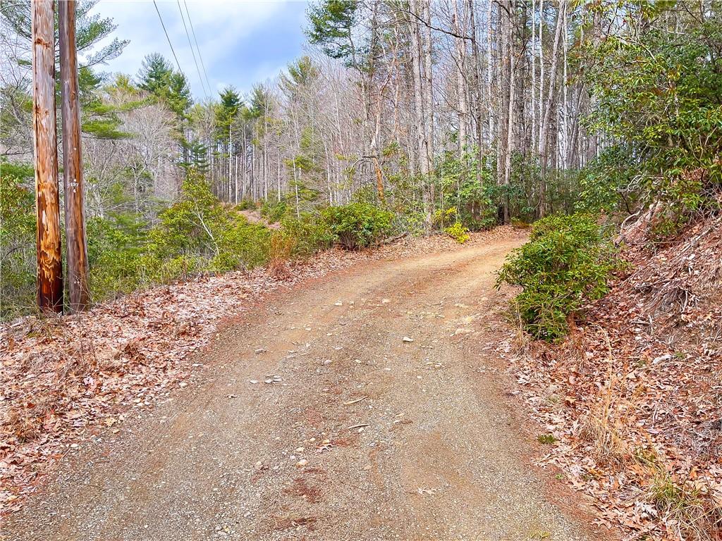 99999 Waldroup Road Hot Springs, NC 28743 - Photo 22 of 35 Gallery Image 22