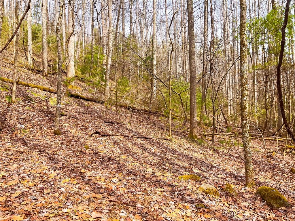 99999 Waldroup Road Hot Springs, NC 28743 - Photo 25 of 35 Gallery Image 25