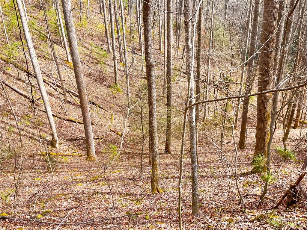99999 Waldroup Road Hot Springs, NC 28743 - Photo 28 of 35 Gallery Image 28