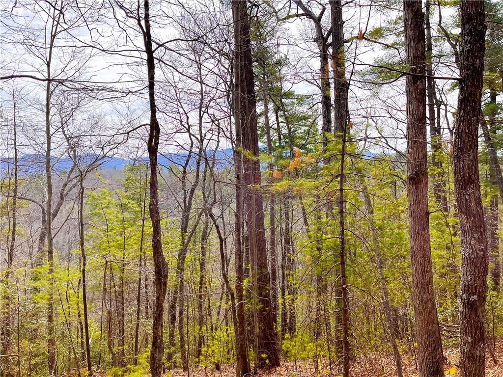 99999 Waldroup Road Hot Springs, NC 28743 - Photo 32 of 35 Gallery Image 32