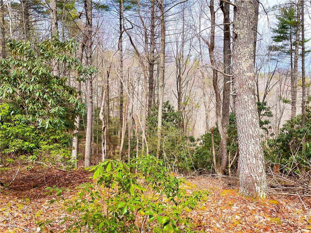 99999 Waldroup Road Hot Springs, NC 28743 - Photo 33 of 35 Gallery Image 33