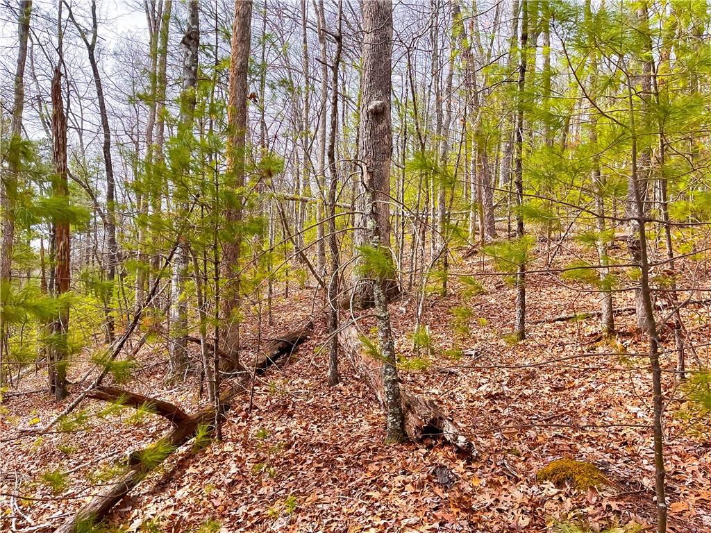 99999 Waldroup Road Hot Springs, NC 28743 - Photo 7 of 35 Gallery Image 7