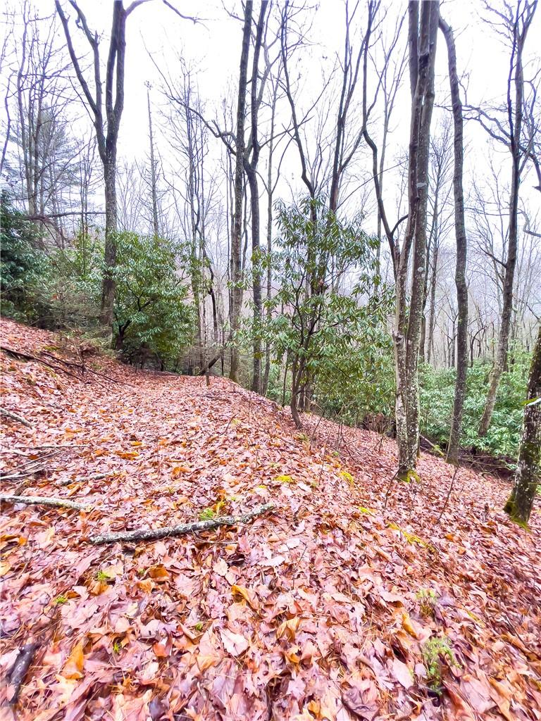 99999 Waldroup Road Hot Springs, NC 28743 - Photo 10 of 35 Gallery Image 10