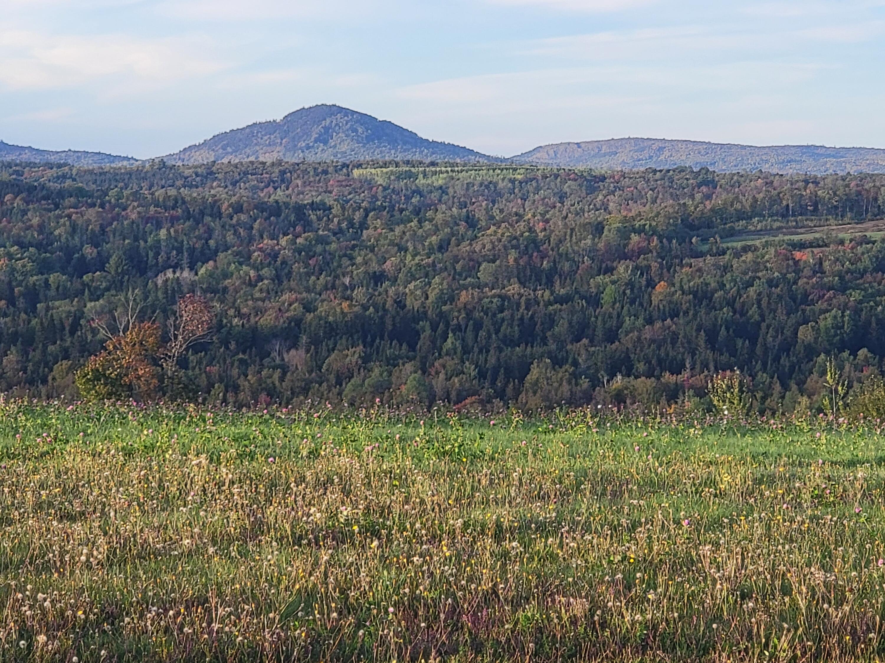 559 North Road Mount Chase, ME 04765 - Photo 65 of 80 20210921_175353