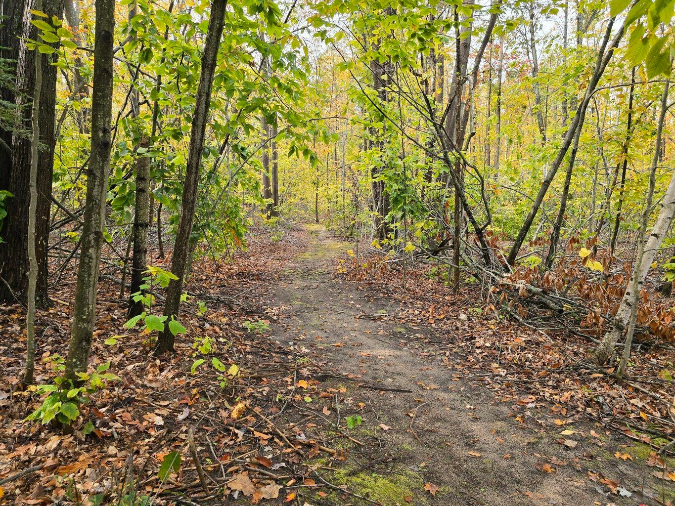 3313 Bennett Road Cheboygan, MI 49721 - Photo 15 of 18 20251020155905941360000000-o