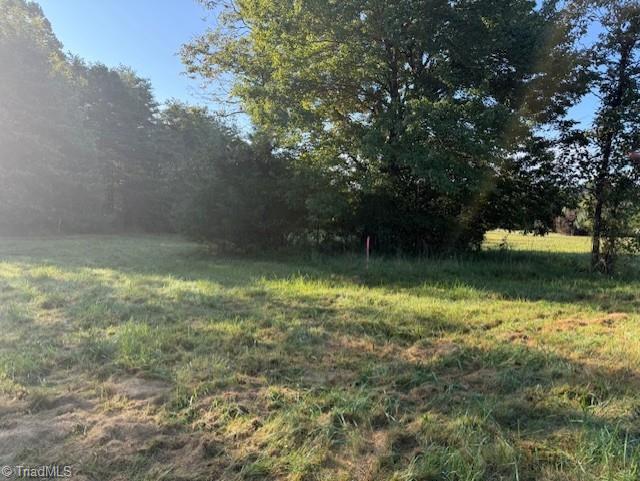 Lot 34 Frank Joyce Road Sandy Ridge, NC 27046 - Photo 2 of 7