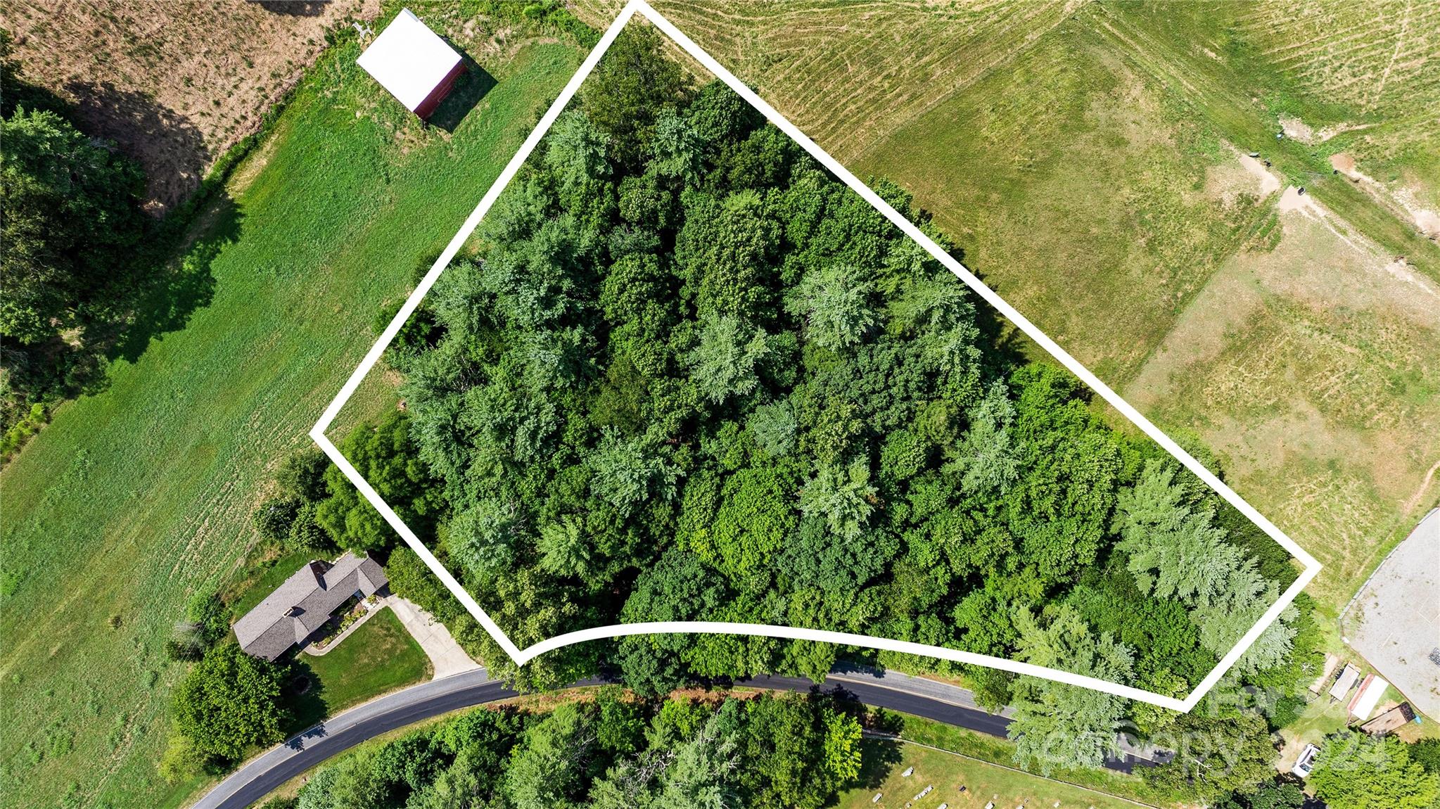 99999 Hazel Brook Road Marshall, NC 28753 - Photo 1 of 18 Gallery Image 1