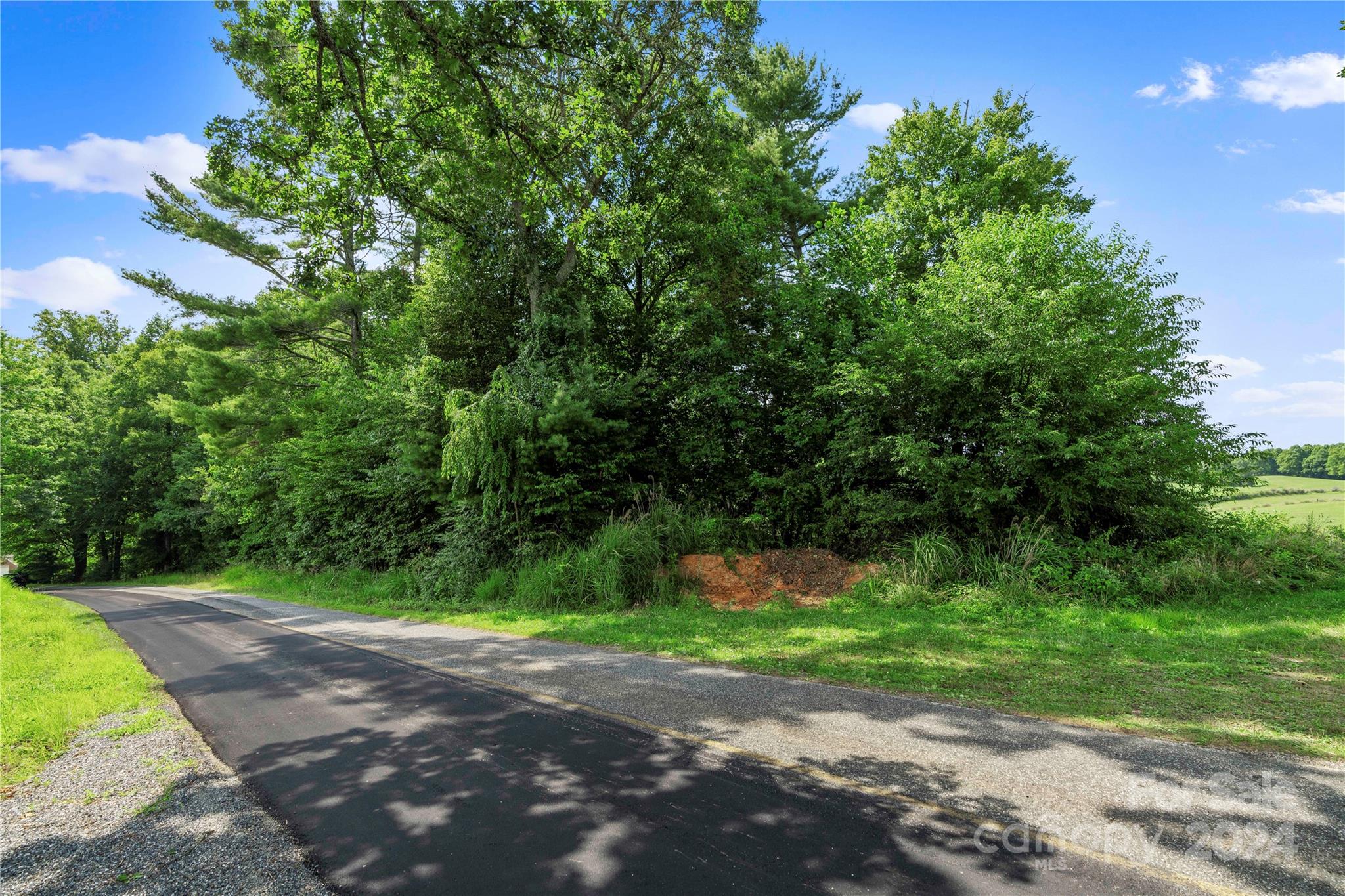 99999 Hazel Brook Road Marshall, NC 28753 - Photo 11 of 18 Gallery Image 11