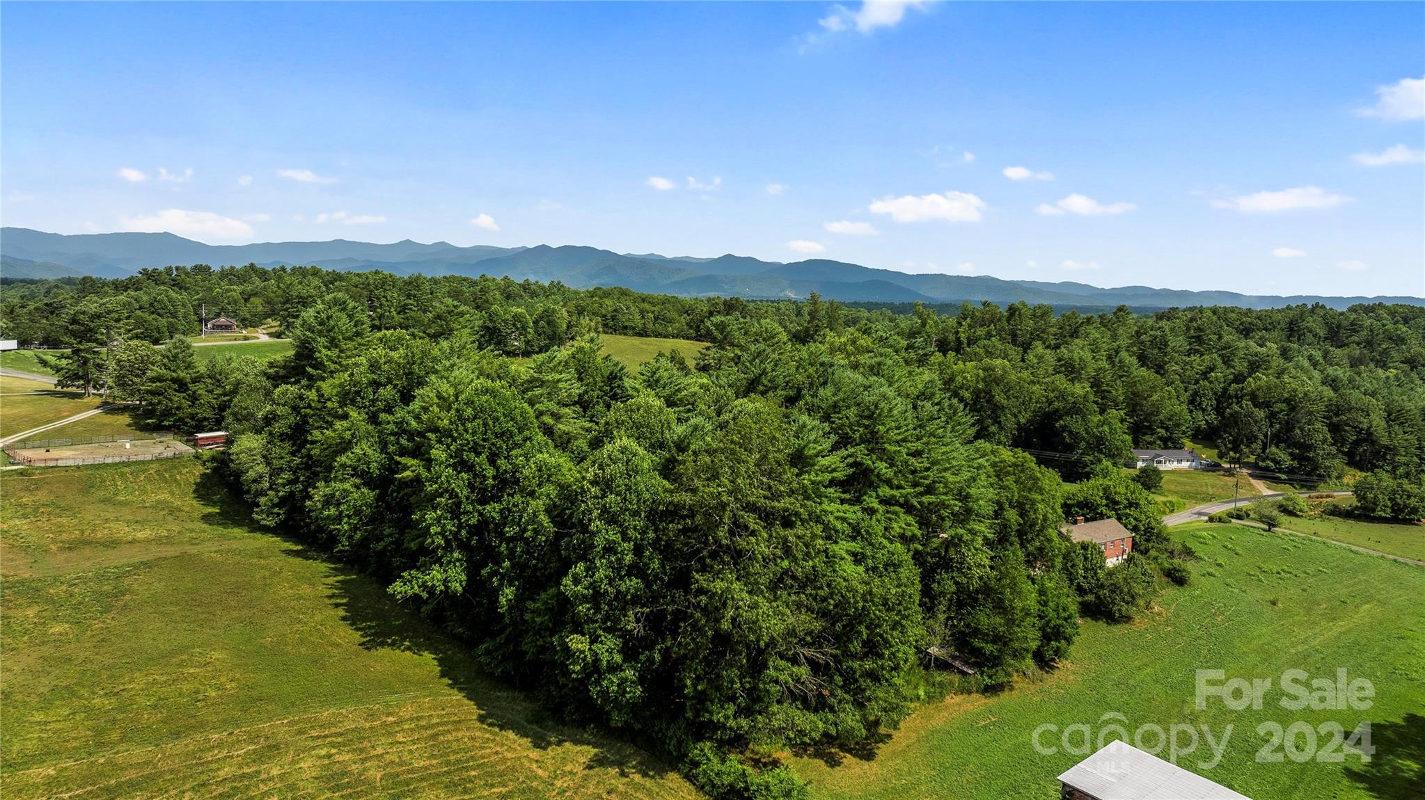 99999 Hazel Brook Road Marshall, NC 28753 - Photo 2 of 18 Gallery Image 2