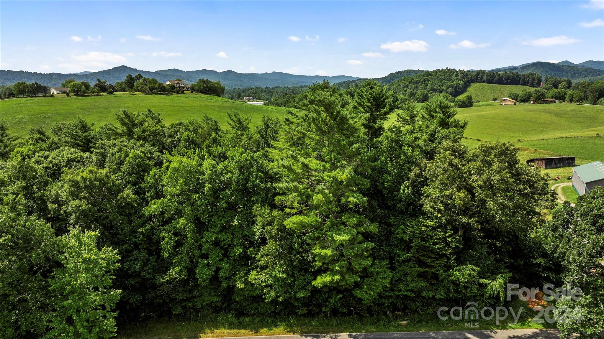 99999 Hazel Brook Road Marshall, NC 28753 - Photo 3 of 18 Gallery Image 3