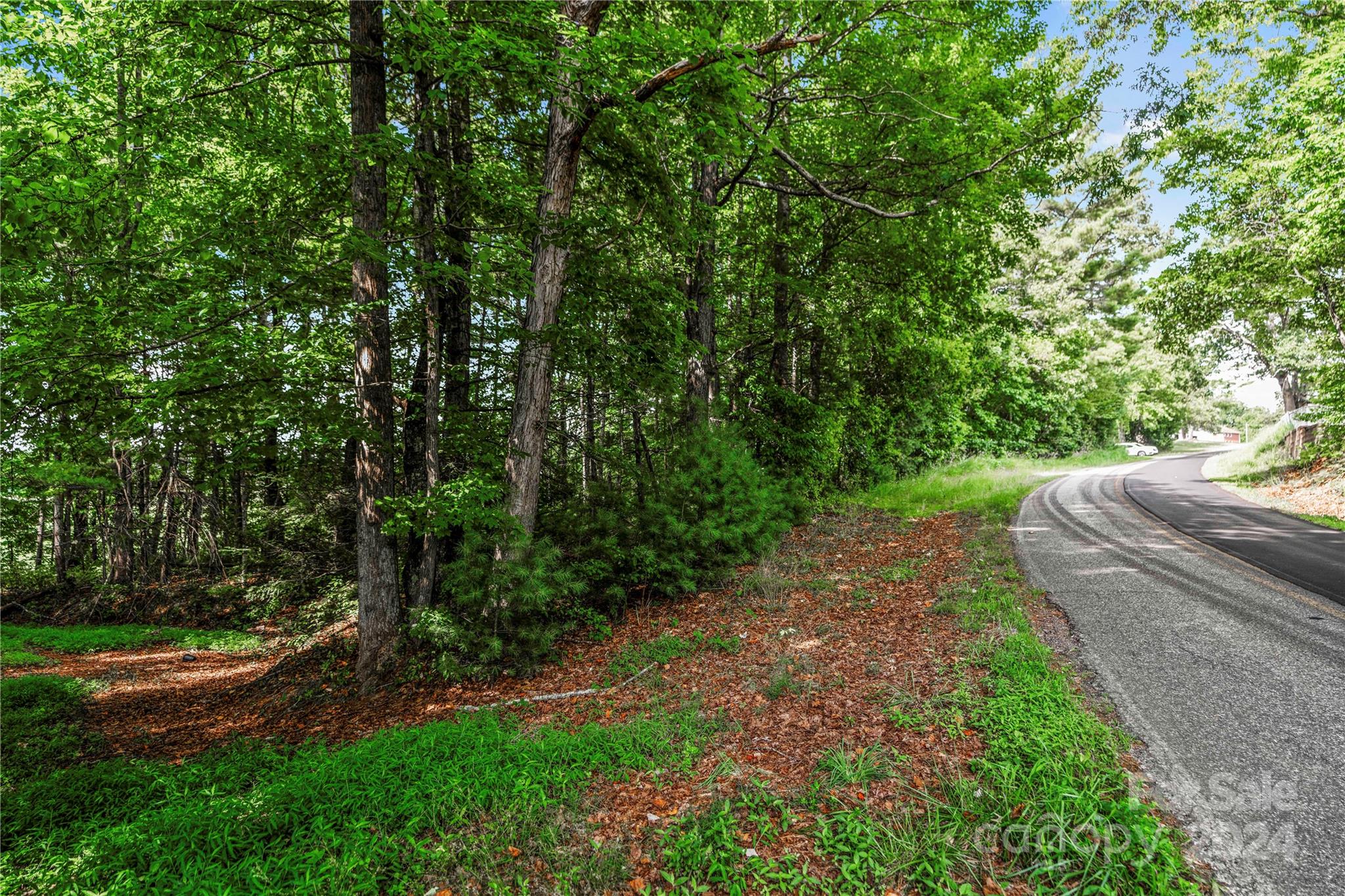 99999 Hazel Brook Road Marshall, NC 28753 - Photo 5 of 18 Gallery Image 5