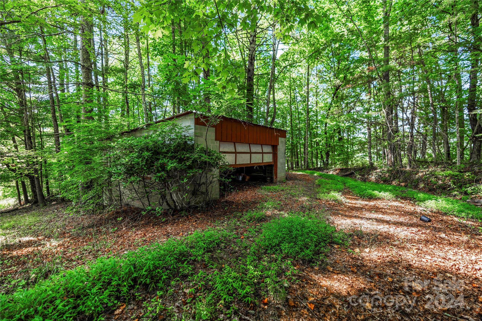 99999 Hazel Brook Road Marshall, NC 28753 - Photo 7 of 18 Gallery Image 7