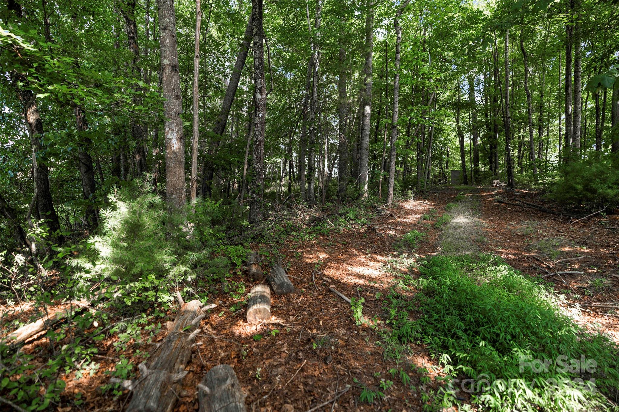 99999 Hazel Brook Road Marshall, NC 28753 - Photo 8 of 18 Gallery Image 8