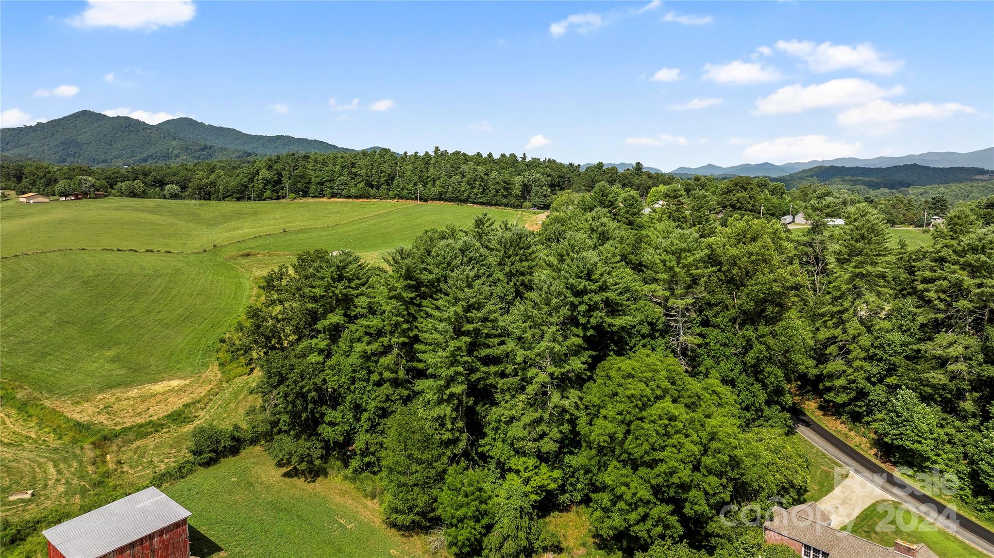 99999 Hazel Brook Road Marshall, NC 28753 - Photo 10 of 18 Gallery Image 10
