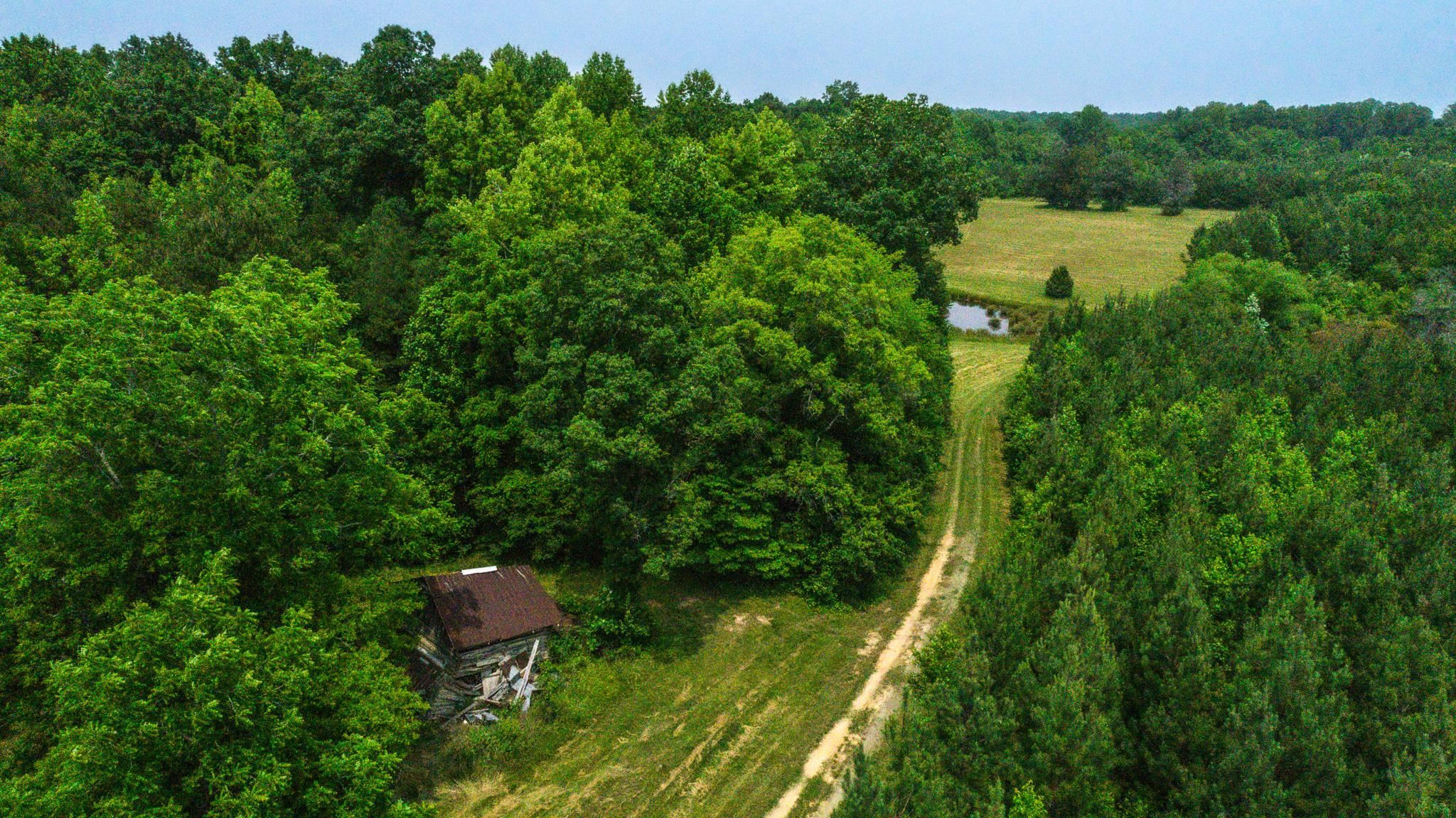 46-acres Durham Road Timberlake, NC 27583 - Photo 16 of 38 Photo 16