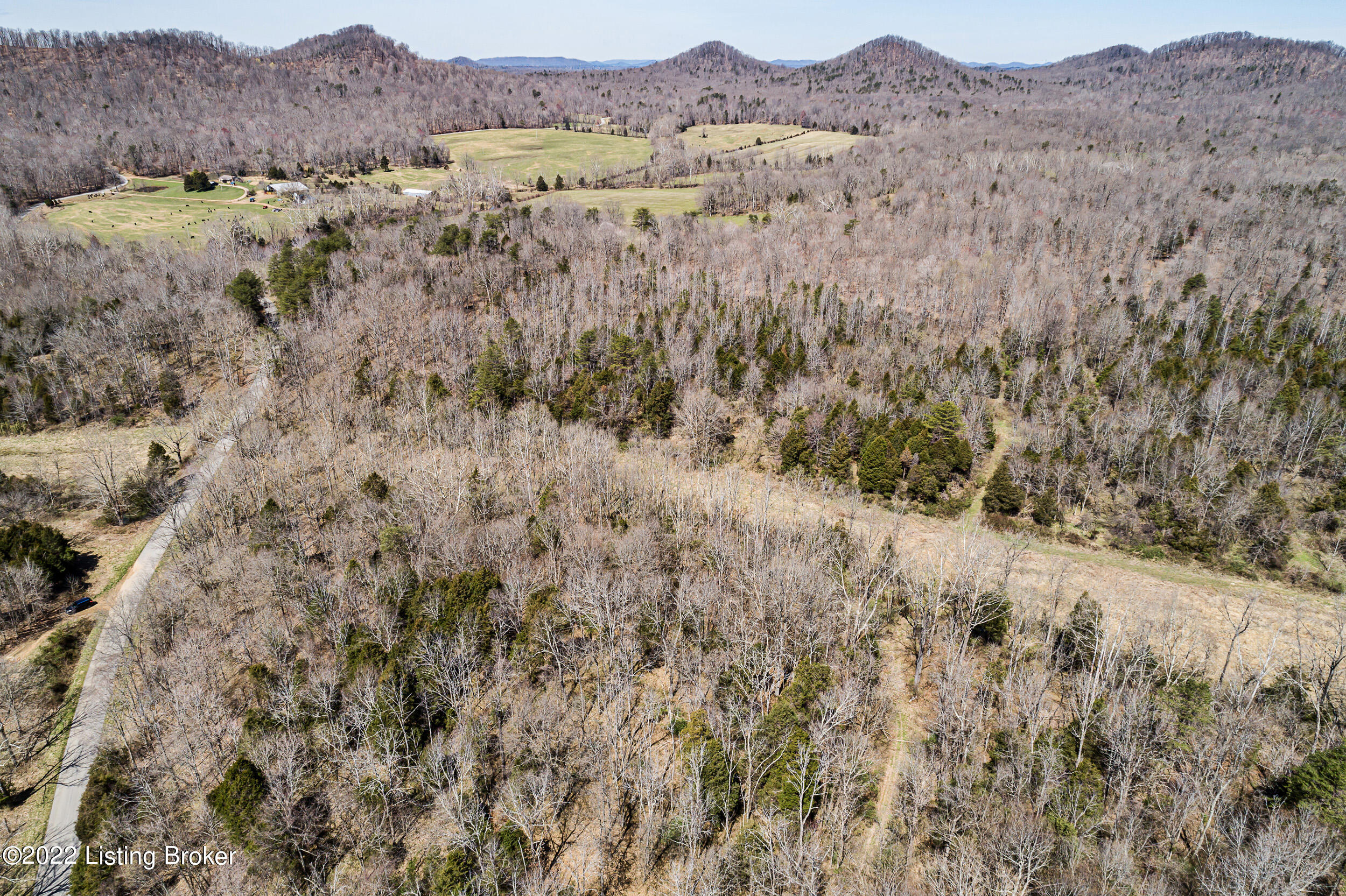 1-2 Patton Road Boston, KY 40107 - Photo 13 of 13 PattonRd010