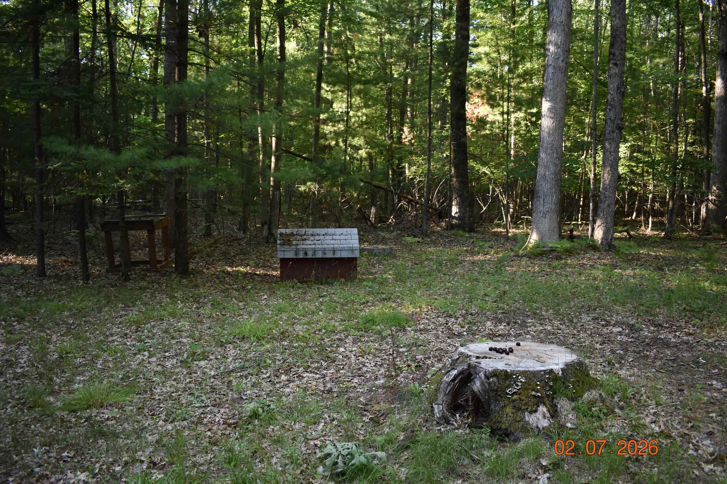 2425 Cora Lane Prescott, MI 48756 - Photo 5 of 13 1947540-7ccfbed0-3b8f-4e58-b570-cb17f0853a87.JPG