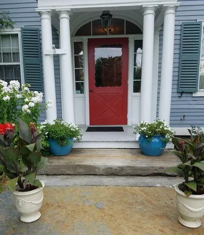 a potted plant sitting on the side of a building